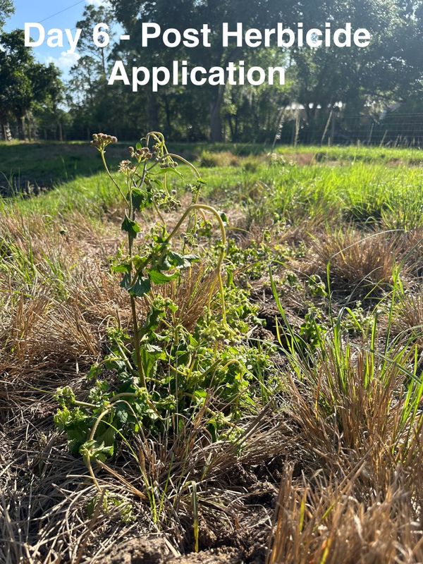 Custom Herbicide Treatments