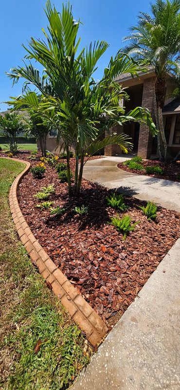 Palm Tree Installation