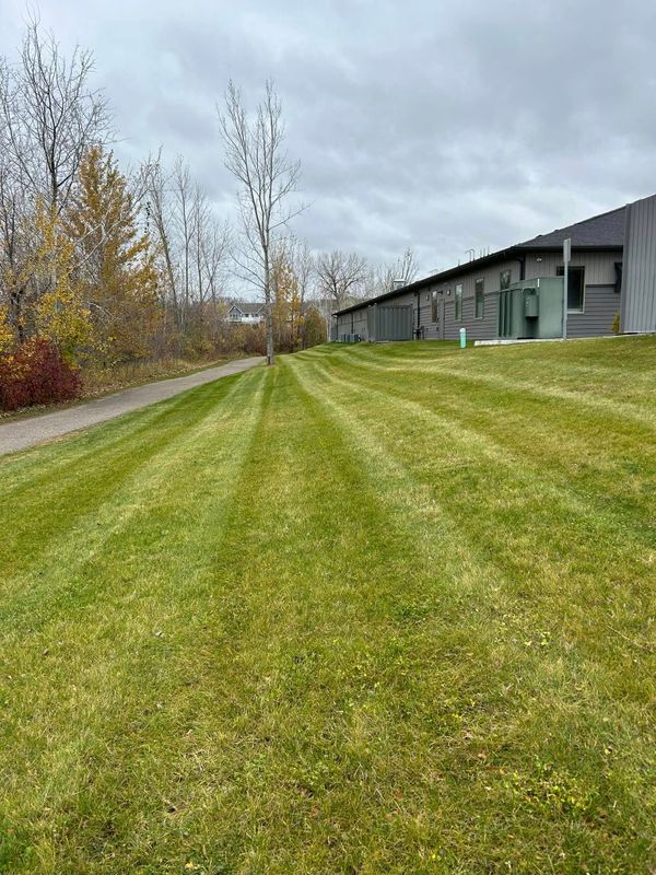 Lawn Maintenance