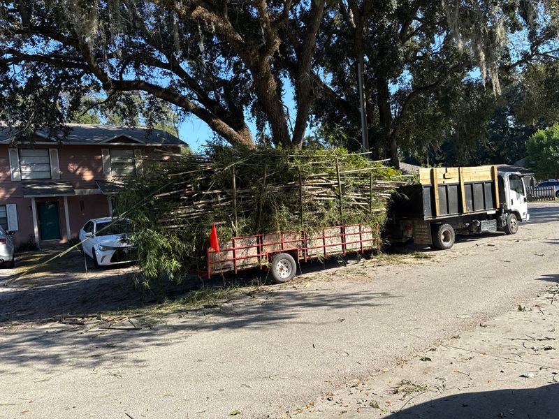 Land Clearing