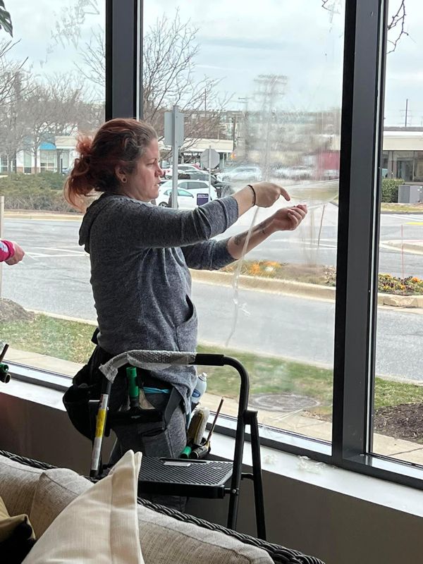 Window Cleaning