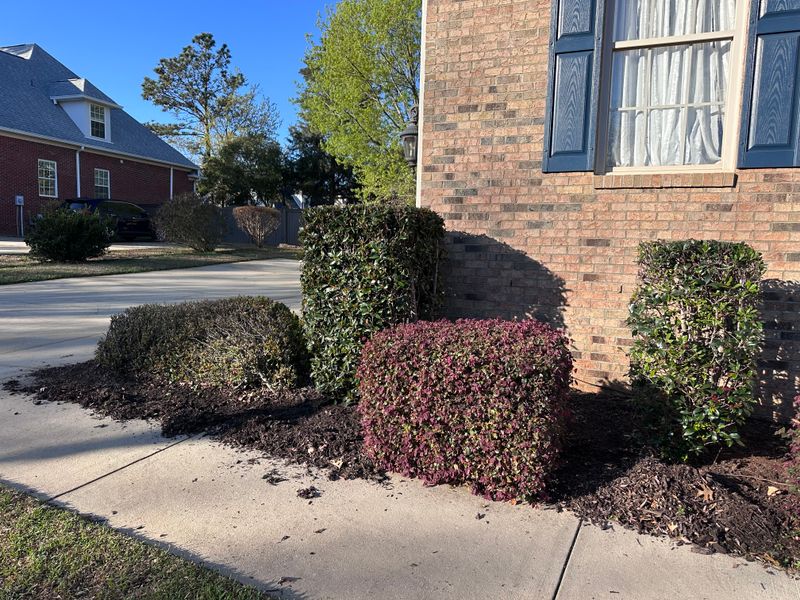 Mulch / Pine straw Install