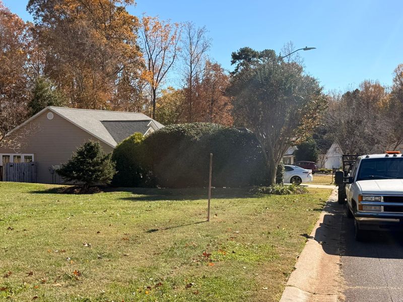 Other Lawn Maintenance