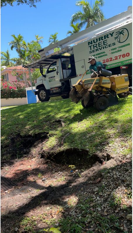 Mulch Installation