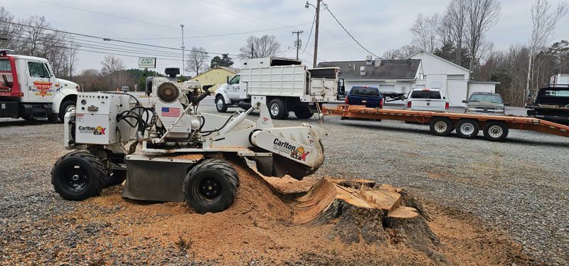 Stump Grinding