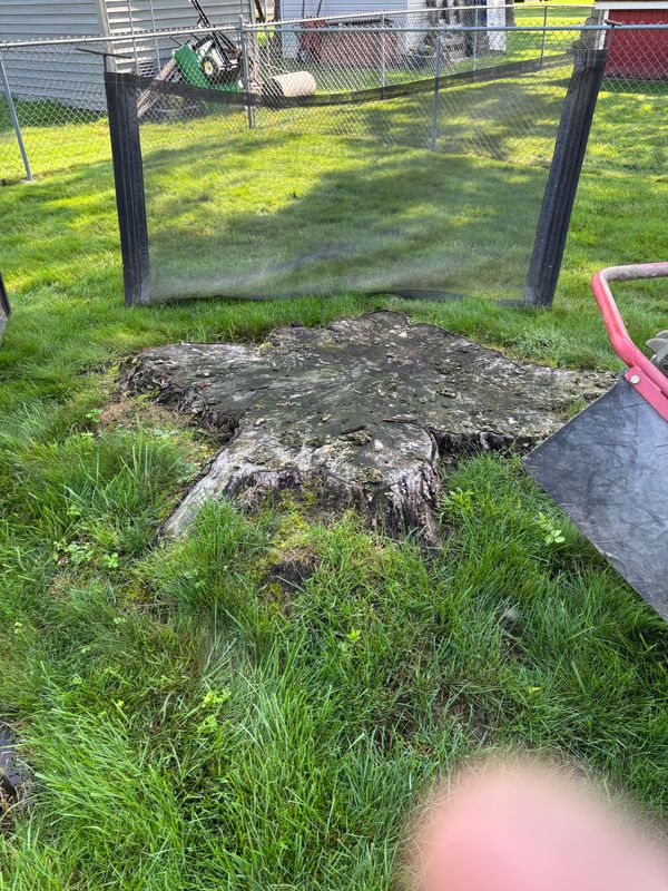 Stump Removal
