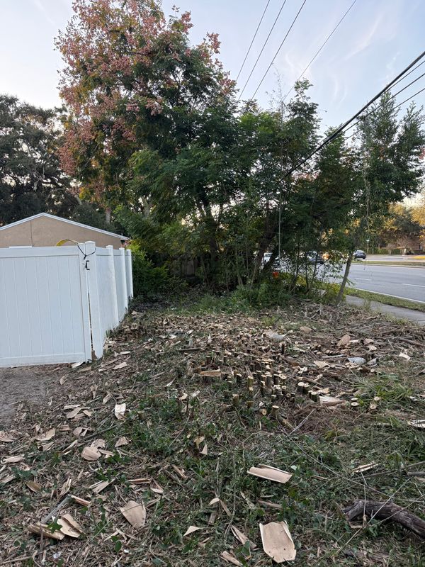 Land Clearing