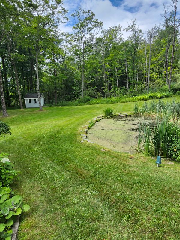 Lawn Mowing