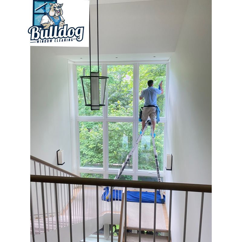 Window Cleaning