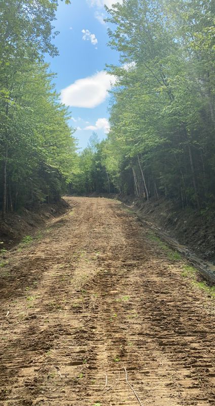 Land Clearing & Forestry Mulching