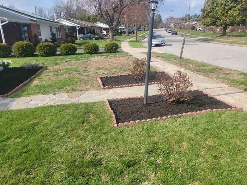 Beautiful Lawns