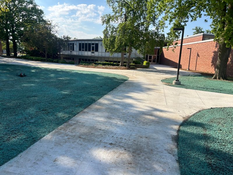 Hydroseeding