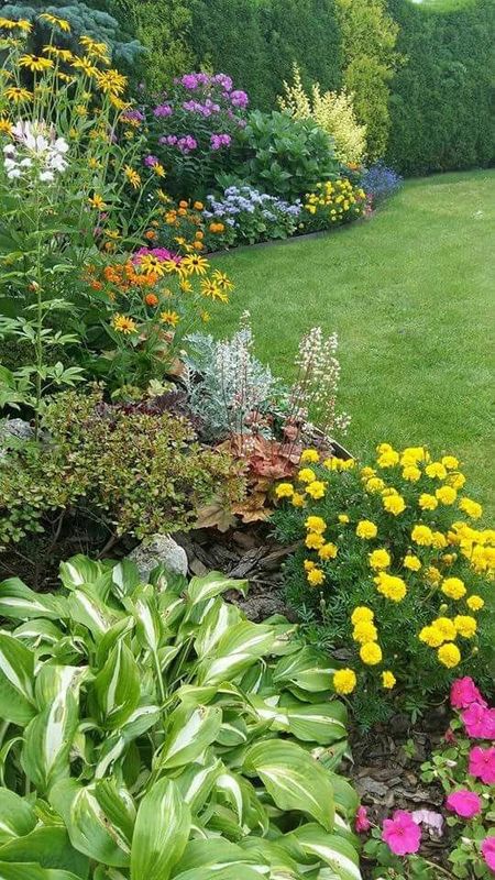 Landscape Design