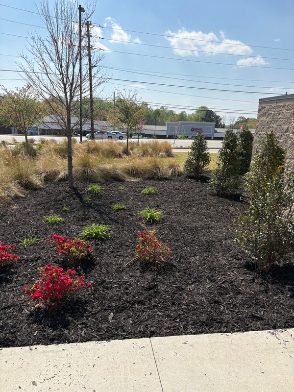 Mulch and Pinestraw Installation