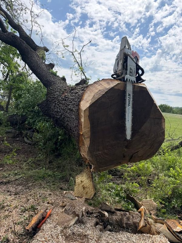 Logging