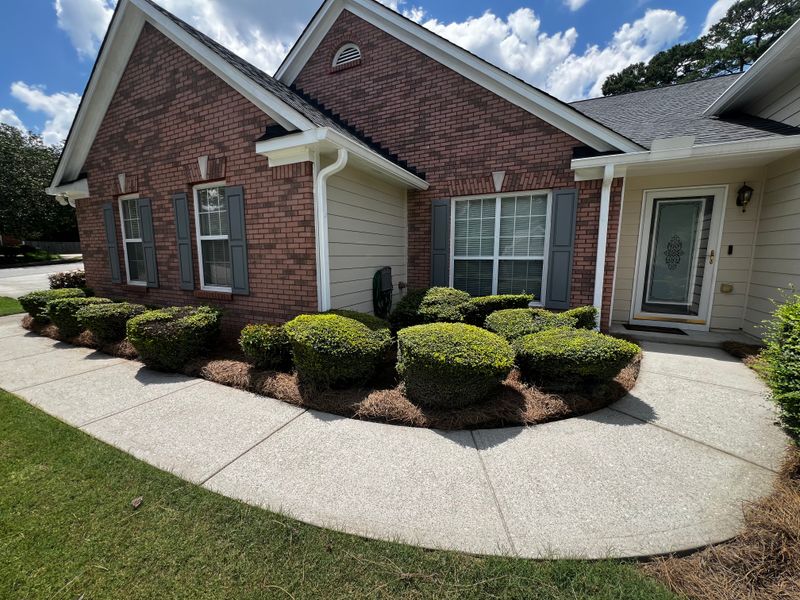 Lawn Care and Maintenance