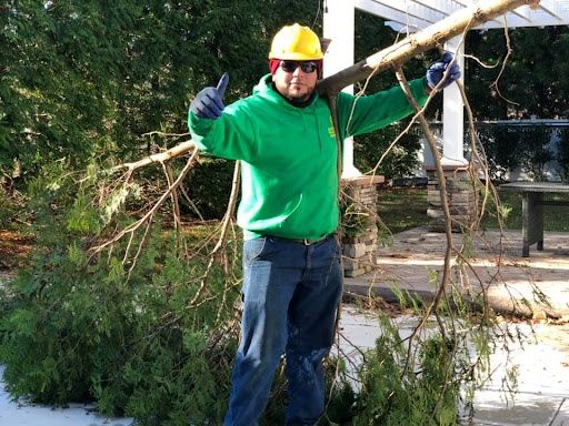Storm Clean-Ups