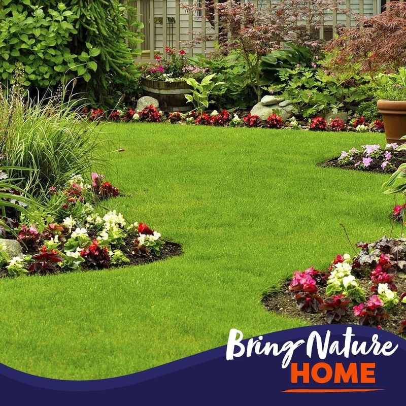 Landscape Design