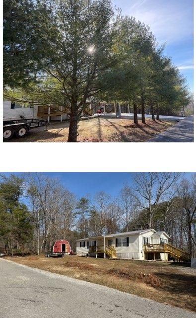 Tree Removal