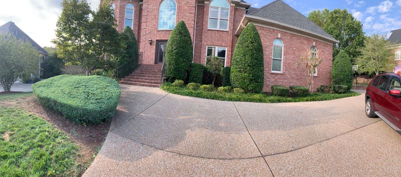 Shrub Trim