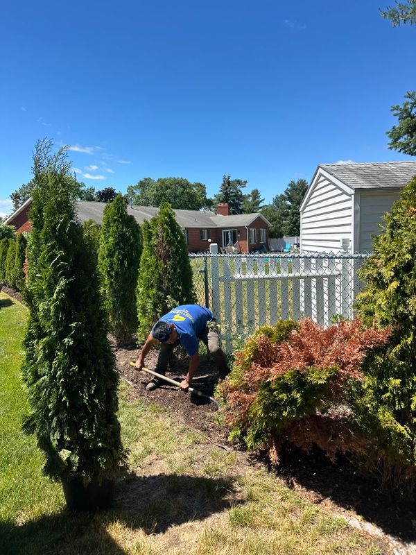 Sod Installation