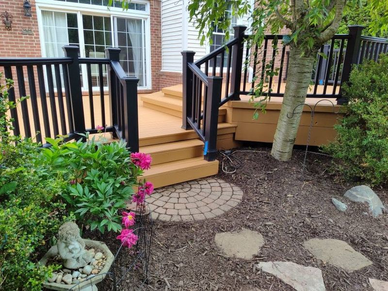 Deck and Fence Staining