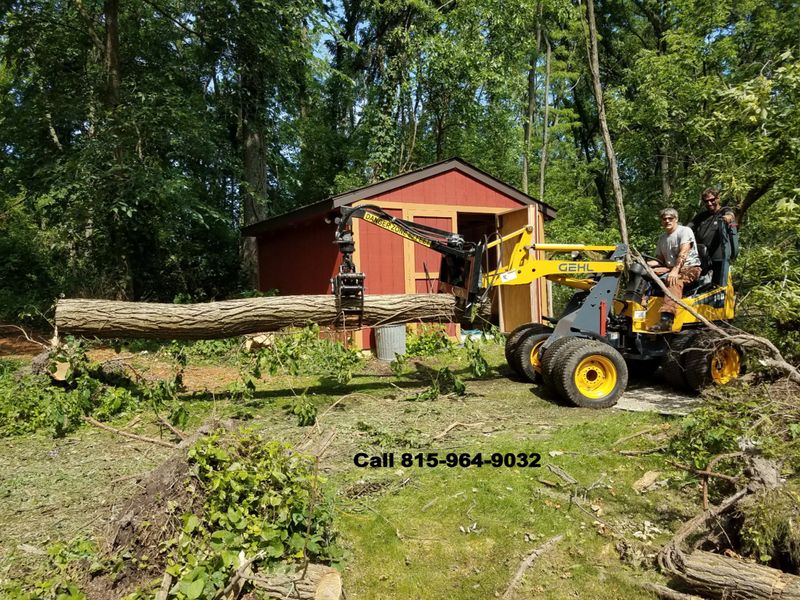 Tree Removal gallery
