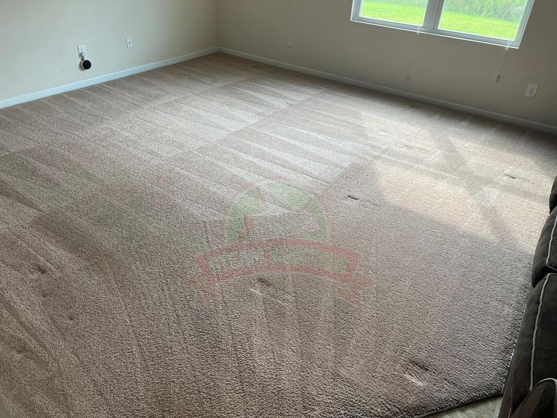 Carpet Cleaning gallery