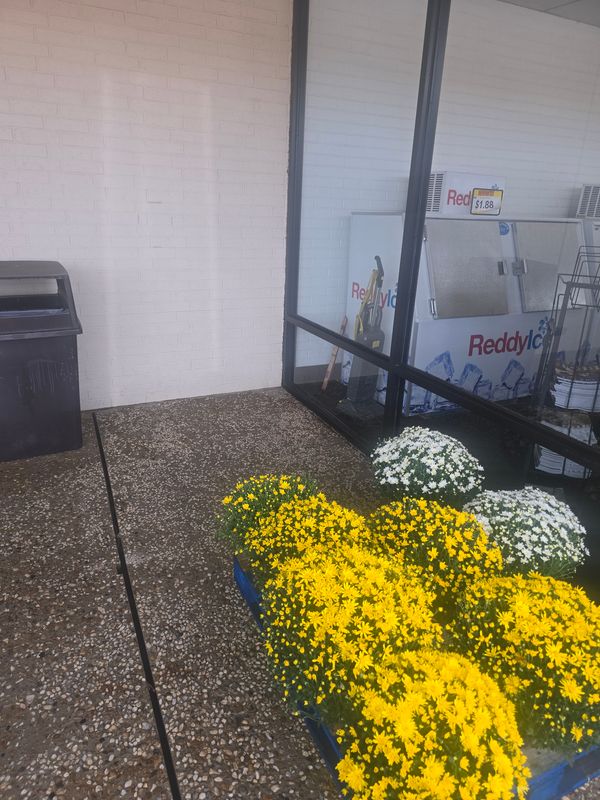 Parking Lot Cleanings!
