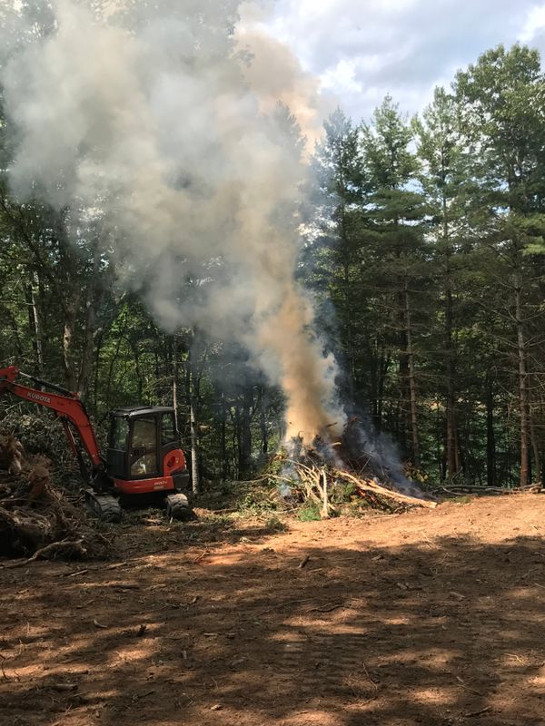 Clearing
