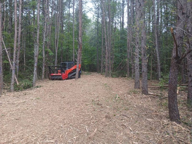 Forestry Mulching