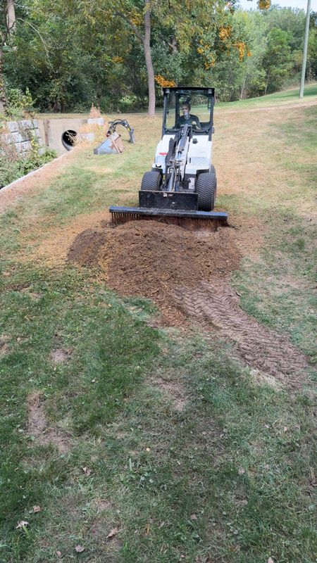 Fall Clean Up