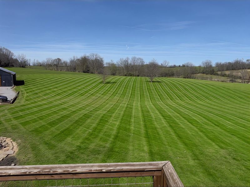 Lawn Mowing