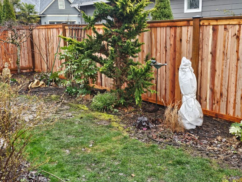 Fence Installation
