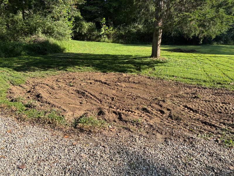 Stump Removal