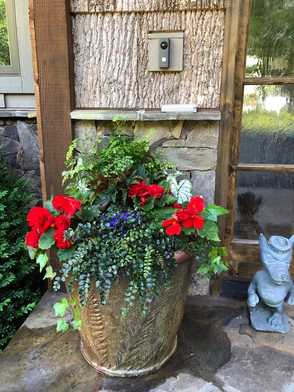 Container Gardening