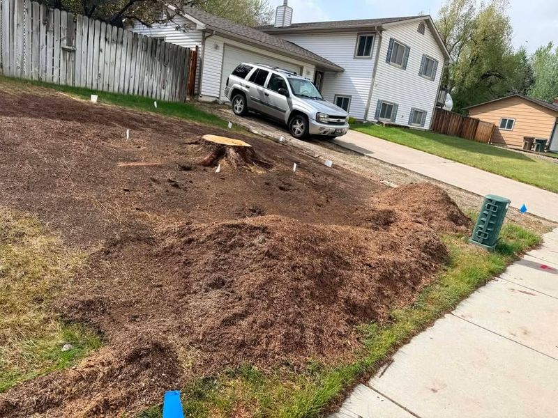 Stump Removal