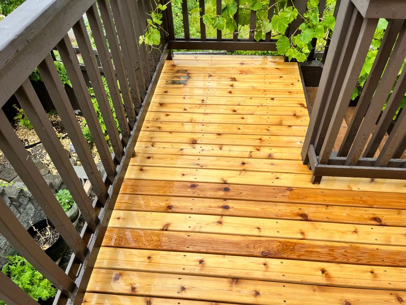 Deck Staining