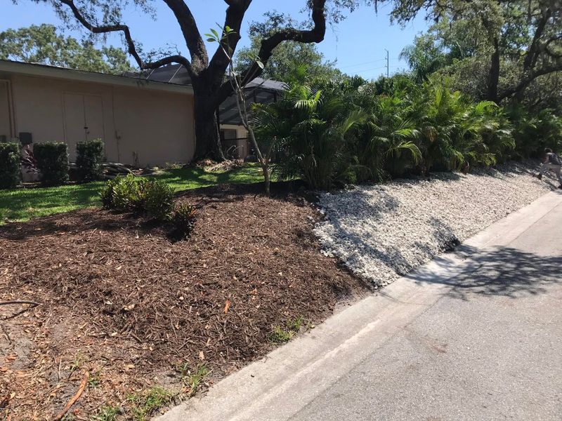 Garden Design and Installation