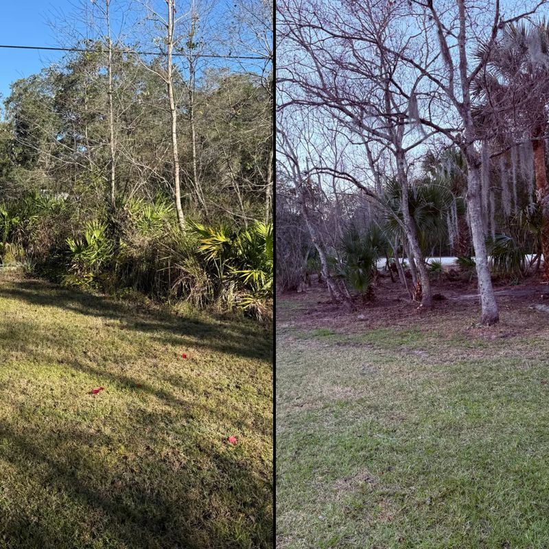 Major Land Clearing + Property Clean-Up