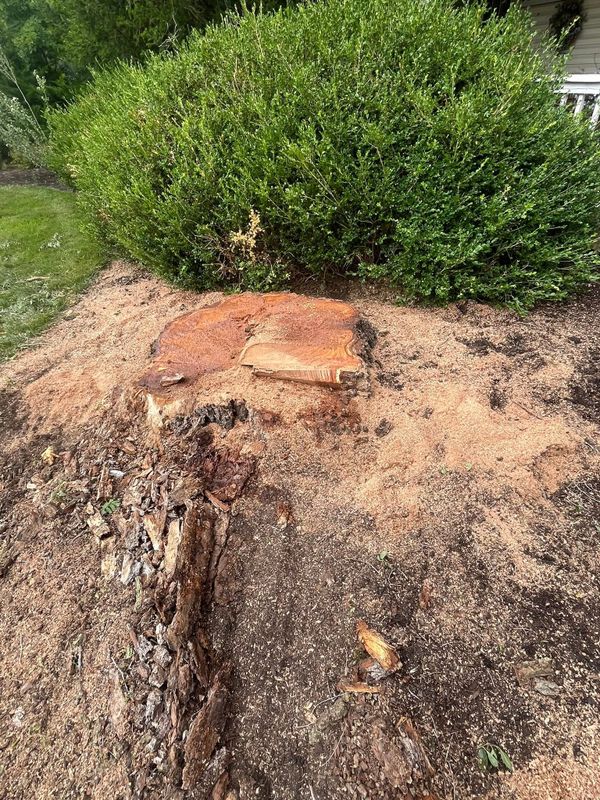 Tree Removal and Trimming