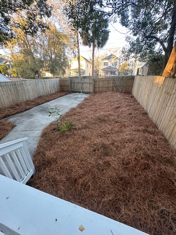 Pine Straw Installation