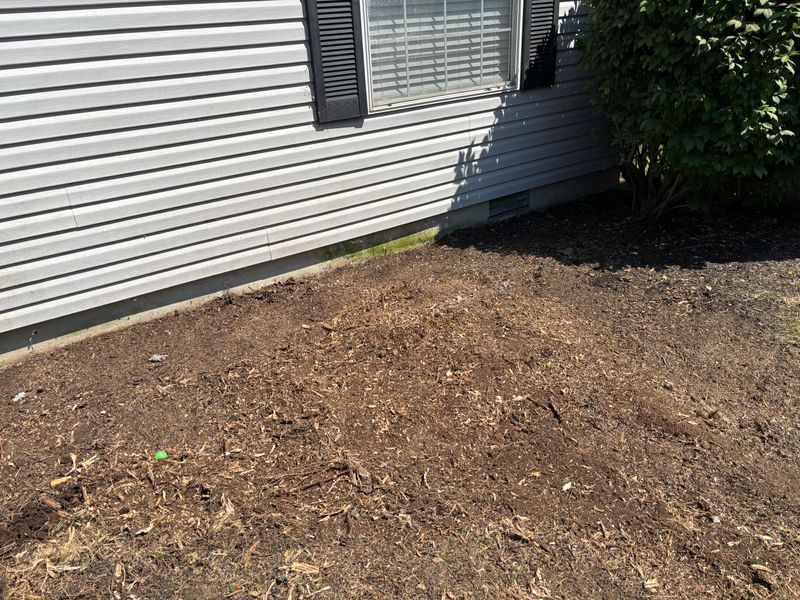 Stump Removal
