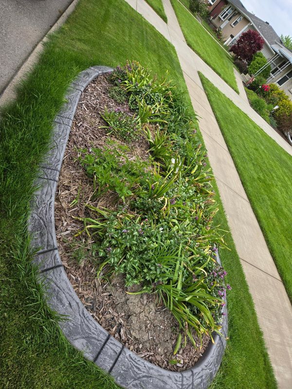 Landscape Installation & Design Photo