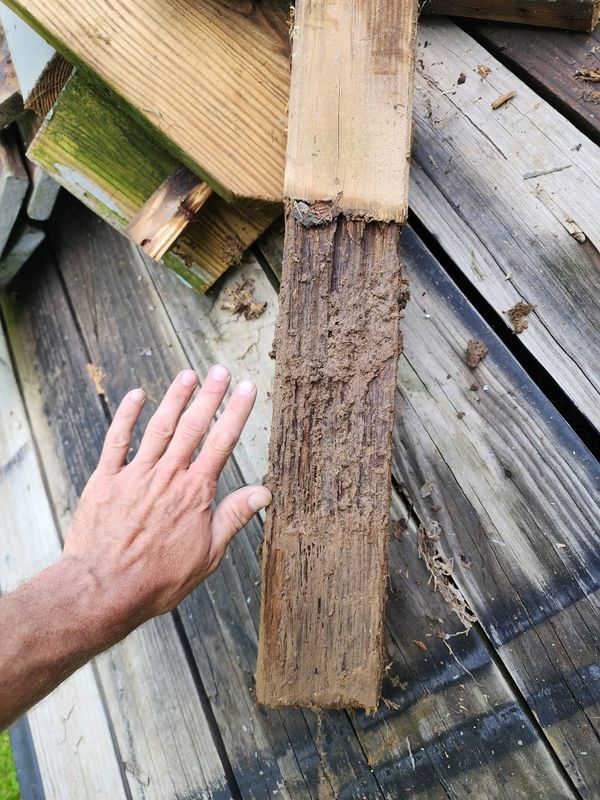 Deck Repairs