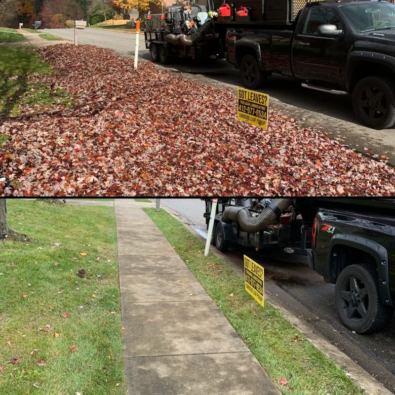 Fall Clean Up