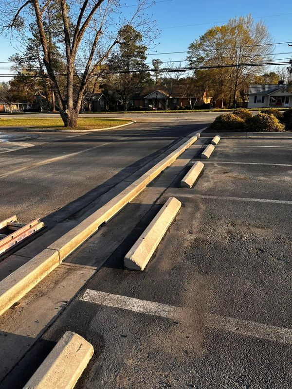 Driveway and Sidewalk Cleaning