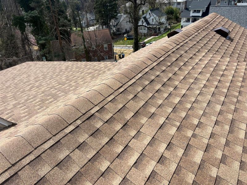 Roof Installation