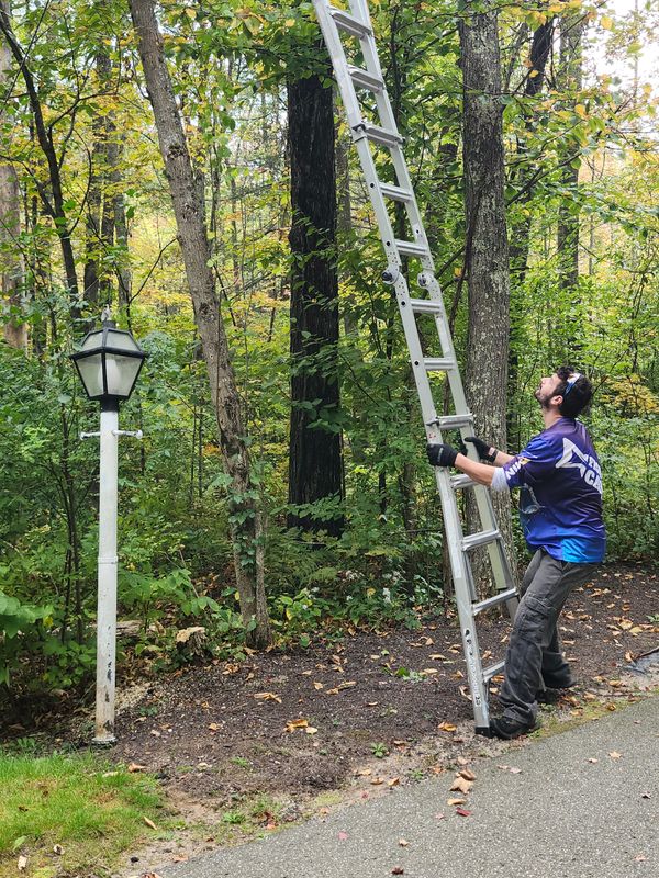 Hedge/Tree/Brush Cutting