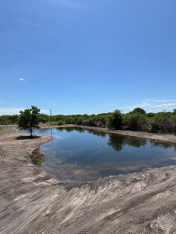 Pond Excavation